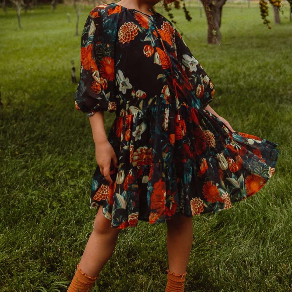 ISO Ivy City Co Imogen Moody floral mini dress sizes 3T/4T